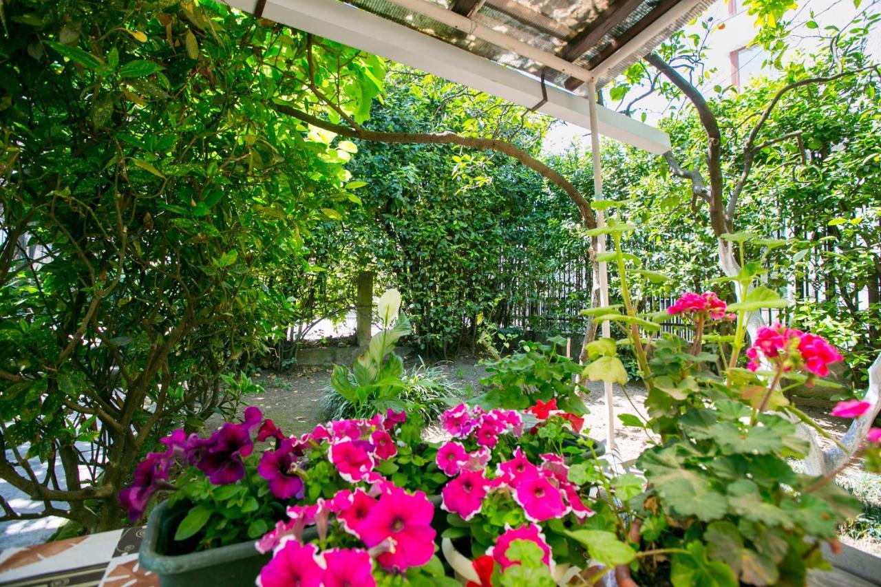 גגרה Guest House Lavr מראה חיצוני תמונה
